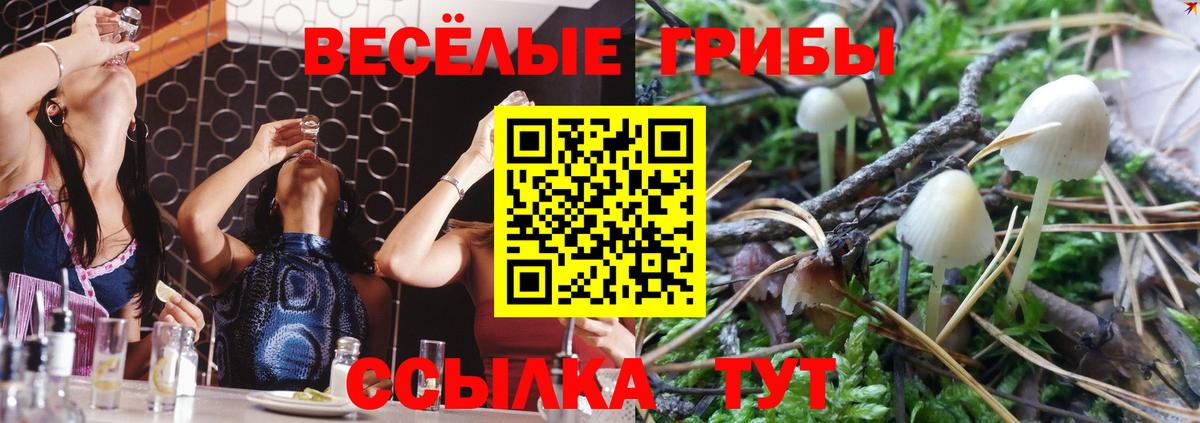 Галлюциногенные грибы мицелий  Вход с VPN  Урус-Мартан  Галлюциногенные грибы ЛСД 