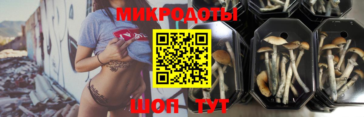 Галлюциногенные грибы GOLDEN TEACHER Урус-Мартан